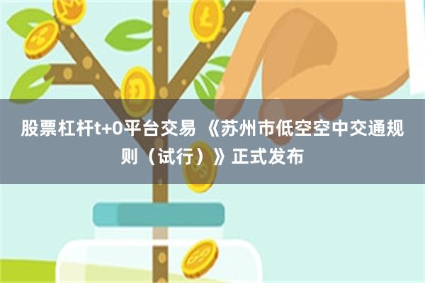 股票杠杆t+0平台交易 《苏州市低空空中交通规则（试行）》正式发布