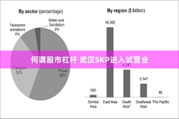 何谓股市杠杆 武汉SKP进入试营业