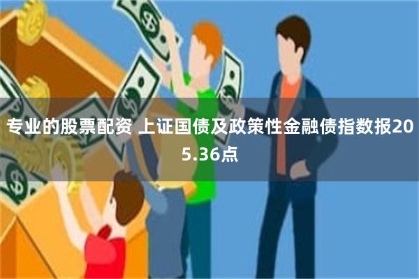 专业的股票配资 上证国债及政策性金融债指数报205.36点