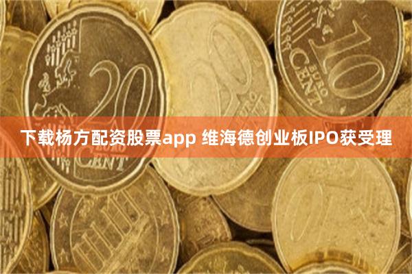 下载杨方配资股票app 维海德创业板IPO获受理