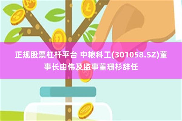 正规股票杠杆平台 中粮科工(301058.SZ)董事长由伟及监事董珊杉辞任