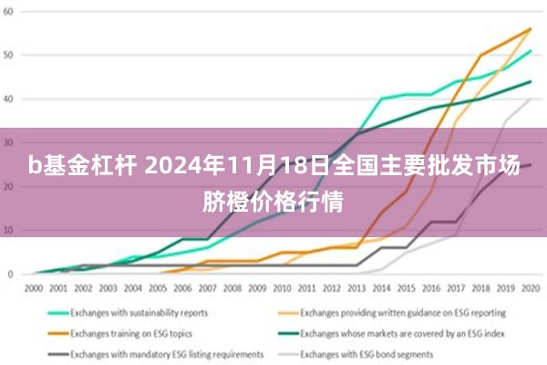 b基金杠杆 2024年11月18日全国主要批发市场脐橙价格行