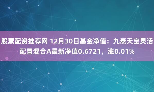 股票配资推荐网 12月30日基金净值：九泰天宝灵活配置混合A最新净值0.6721，涨0.01%