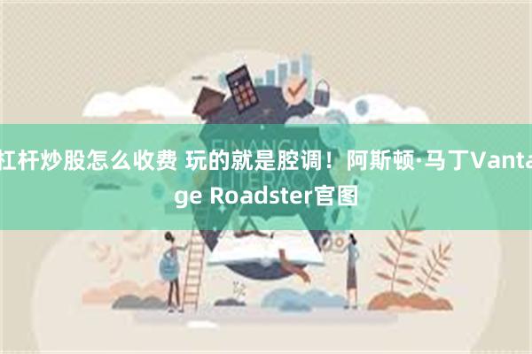 杠杆炒股怎么收费 玩的就是腔调！阿斯顿·马丁Vantage Roadster官图