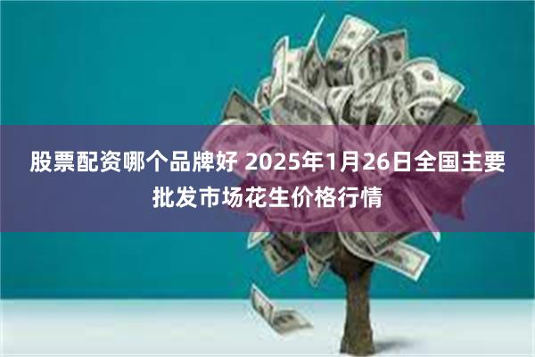 股票配资哪个品牌好 2025年1月26日全国主要批发市场花生价格行情