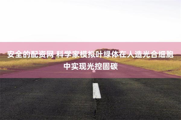 安全的配资网 科学家模拟叶绿体在人造光合细胞中实现光控固碳