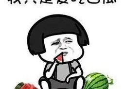 娱乐瓜都是在哪里吃的,明星们的“娱乐瓜”聚集地大揭秘